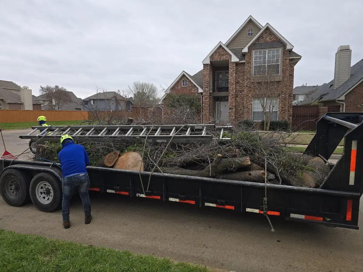 Expert Tree Fertilization with proper safety equipment in Foosland